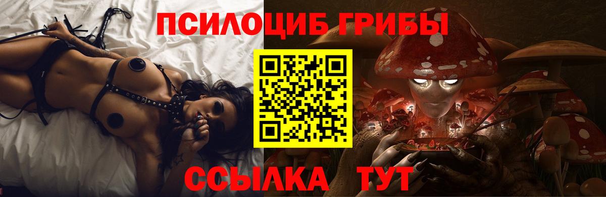 Ефремов  Псилоцибиновые грибы Psilocybine cubensis  Вход с VPN 